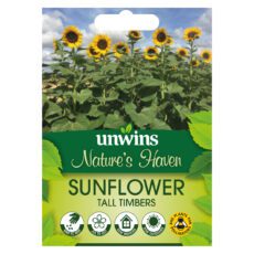 5051618036481 1 NH Sunflower Tall Timbers Seeds.jpg